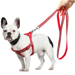 Nylon-Hundeleine-Set mit Reflektoren für kleine bis mittelgroße Hunde, Größe S