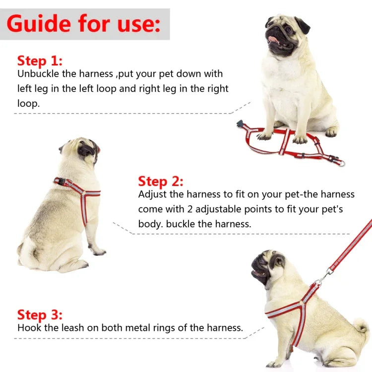 Nylon-Hundeleine-Set mit Reflektoren für kleine bis mittelgroße Hunde, Größe S
