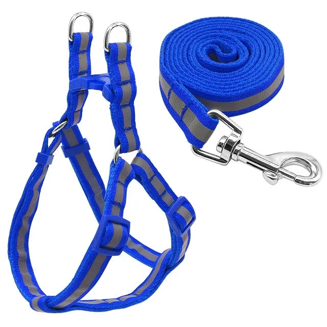 Nylon-Hundeleine-Set mit Reflektoren für kleine bis mittelgroße Hunde, Größe S