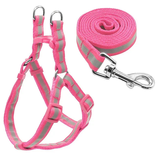 Nylon-Hundeleine-Set mit Reflektoren für kleine bis mittelgroße Hunde, Größe S