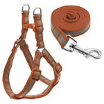 Nylon-Hundeleine-Set mit Reflektoren für kleine bis mittelgroße Hunde, Größe S