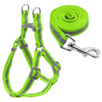 Nylon-Hundeleine-Set mit Reflektoren für kleine bis mittelgroße Hunde, Größe S