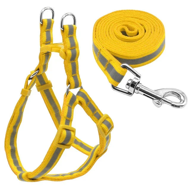 Nylon-Hundeleine-Set mit Reflektoren für kleine bis mittelgroße Hunde, Größe S