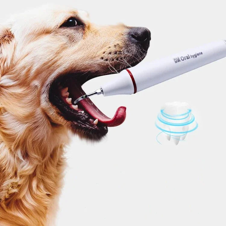 Ultraschall-Zahnreinigungsgerät zur Entfernung von Zahnstein bei Hunden, mit Steckern aus China, den USA, Großbritannien und der EU.