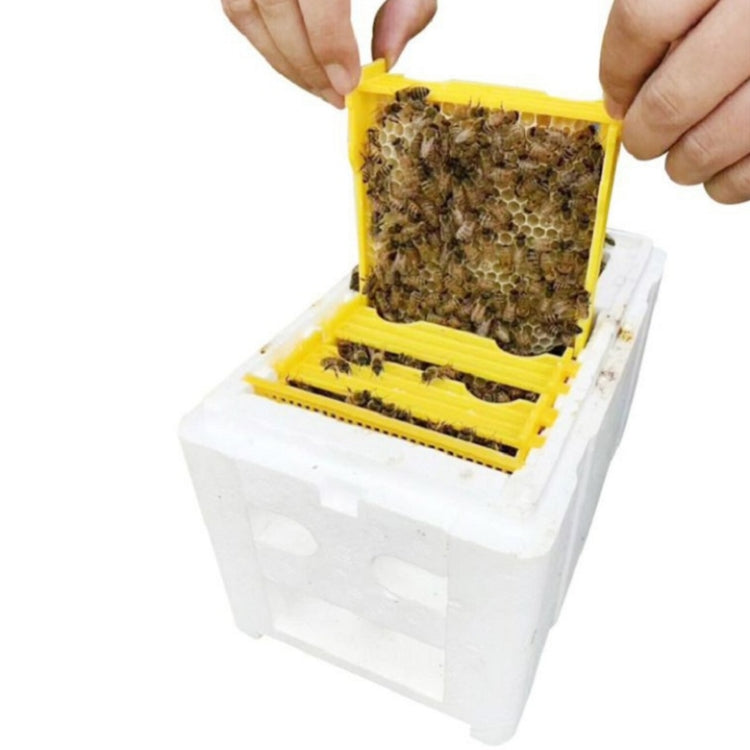 Bienen-Zuchtkasten Schaumstoff-Zuchtkasten Bestäubungskasten, Bienenbestäubungskasten