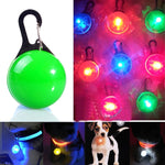 LED-Taschenlampe, leuchtendes Halsband für Hunde und Katzen, Anhänger, leuchtende Dekoration