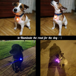 LED-Taschenlampe, leuchtendes Halsband für Hunde und Katzen, Anhänger, leuchtende Dekoration