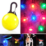 LED-Taschenlampe, leuchtendes Halsband für Hunde und Katzen, Anhänger, leuchtende Dekoration