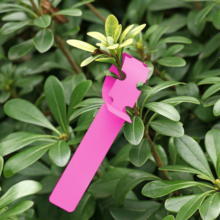100 Stück Gartenpflanzen-Setzlings-Samen-Hängeetikett, Pflanzenetikett 5 Gelb, Pflanzenetikett 5 Grün, Pflanzenetikett 5 Blau, Pflanzenetikett 5 Rot, Pflanzenetikett 5 Weiß, Pflanzenetikett 5 Rosa