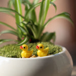 5 Stück Miniatur-Puppenhauszubehör Harz dreidimensionale kleine gelbe Enten-Pflanzendekoration, gelbe Enten-Pflanzendekoration