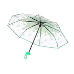 Kirschblüten Transparenter Dreifach-Regenschirm Individueller Faltregenschirm