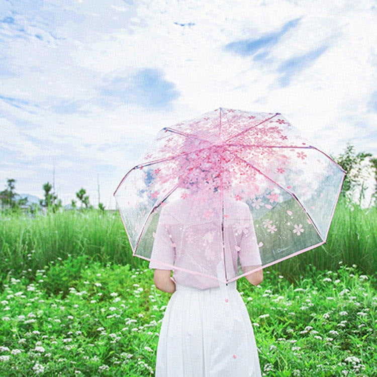 Kirschblüten Transparenter Dreifach-Regenschirm Individueller Faltregenschirm