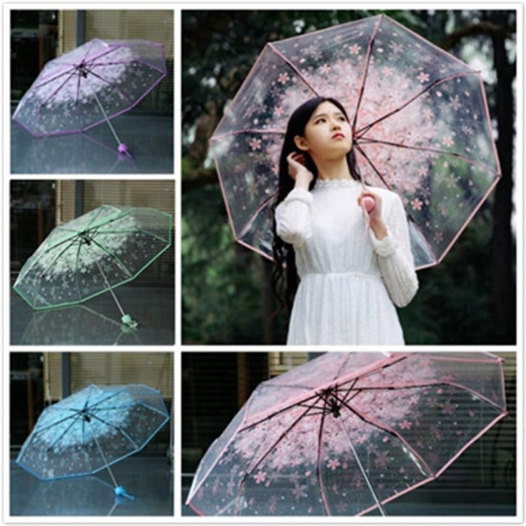 Kirschblüten Transparenter Dreifach-Regenschirm Individueller Faltregenschirm