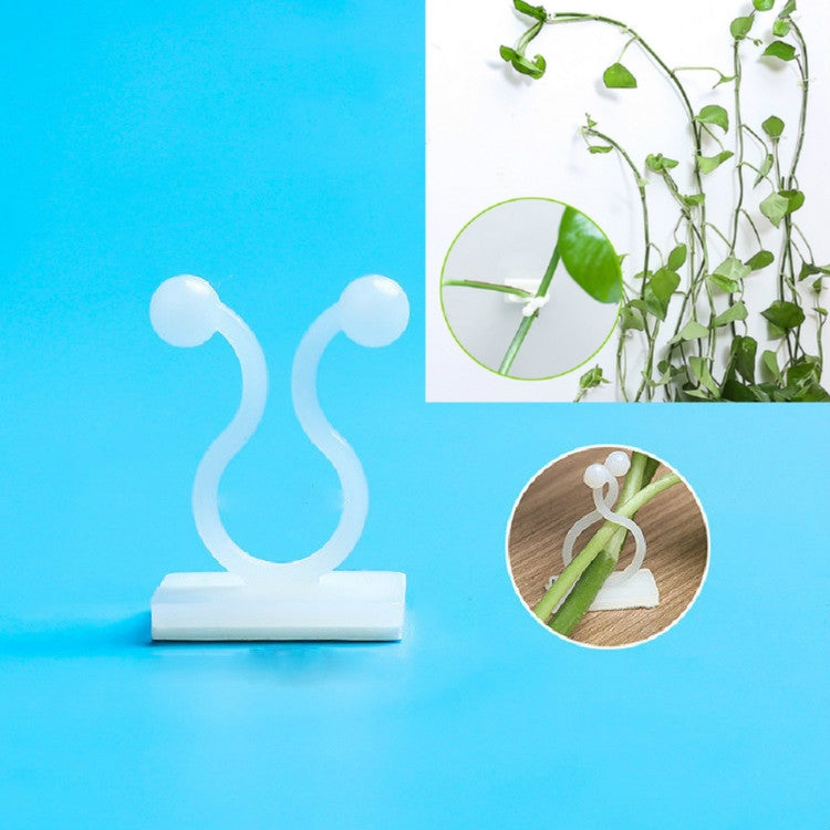 10 Stück Lulu Kletterwandbefestiger Ranken Kletterwand-Klebehaken, 10 Stück Klein (Weiß), 10 Stück Mittel (Weiß), 10 Stück Groß (Weiß)
