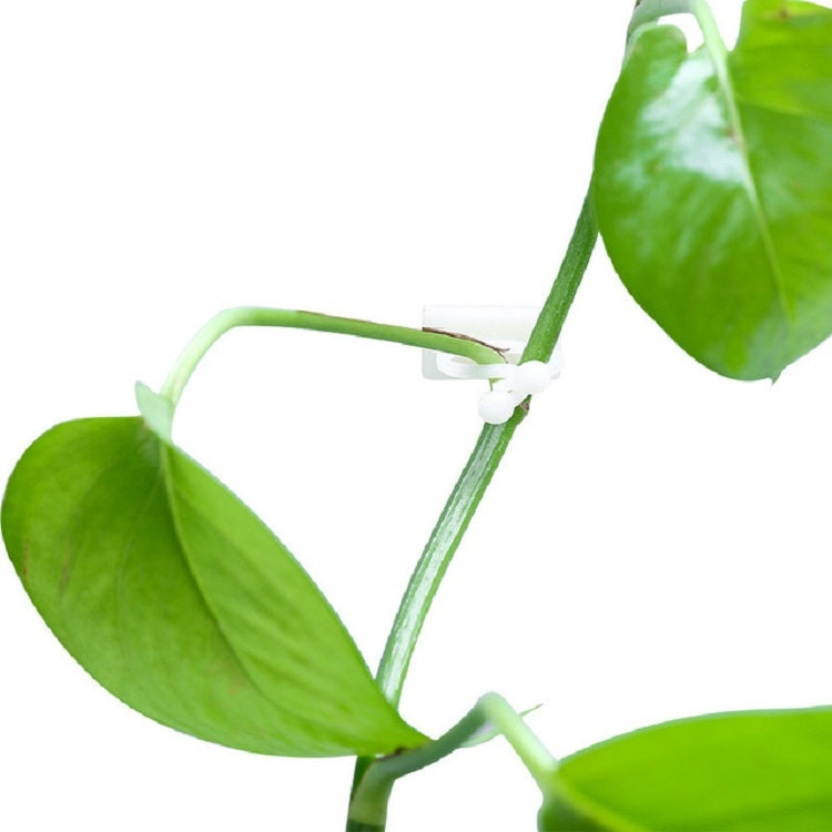 10 PCS Lulu Climbing Wall Fixer Vine Climbing Wall Sticking Hook, 10pcs Small (White), 10pcs Medium (White), 10pcs Large (White)