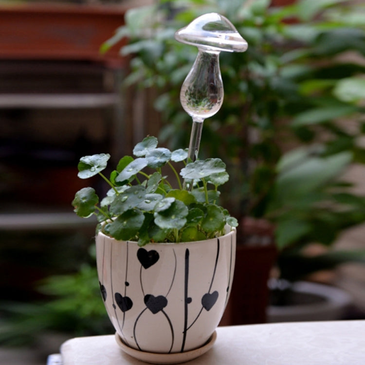 Pilzform Hauspflanzen Blumen Wasserspender Automatische Selbstbewässerung Klare Glasgeräte