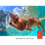 500 m Hundetrainings-Bellstopper mit Fernbedienung, Elektroschock, wasserdichtem elektronischem Halsband