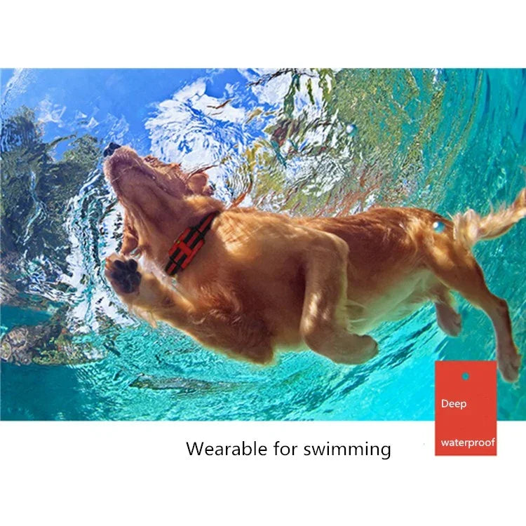 500 m Hundetrainings-Bellstopper mit Fernbedienung, Elektroschock, wasserdichtem elektronischem Halsband