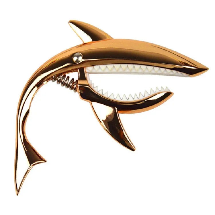 Bild-Alt-Text