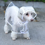 Wasserdichte, transparente Regenbekleidung für Hunde, S, M
