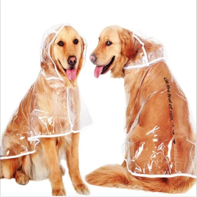 Wasserdichte, transparente Regenbekleidung für Hunde, S, M