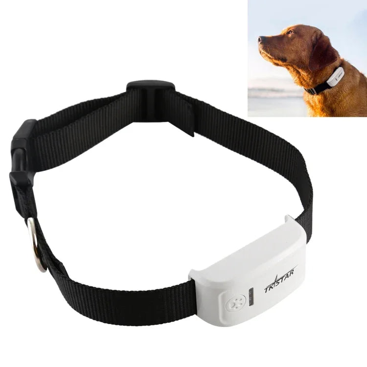 TK-909 GPS / GPRS / GSM Haustier-Ortungsgerät mit Echtzeit-Tracking-Funktion für Haustiere, TK-909