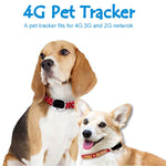 RF-V43 A Stil IP67 Wasserdichter GPS + LBS + WiFi Haustierortungsgerät Haustierhalsband Tracking-Gerät für Asien/Europa/Afrika/Australien, RF-V43 A Stil (Weiß), RF-V43 A Stil (Schwarz)