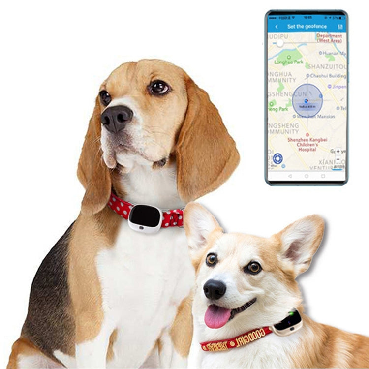 RF-V43 A Stil IP67 Wasserdichter GPS + LBS + WiFi Haustierortungsgerät Haustierhalsband Tracking-Gerät für Asien/Europa/Afrika/Australien, RF-V43 A Stil (Weiß), RF-V43 A Stil (Schwarz)