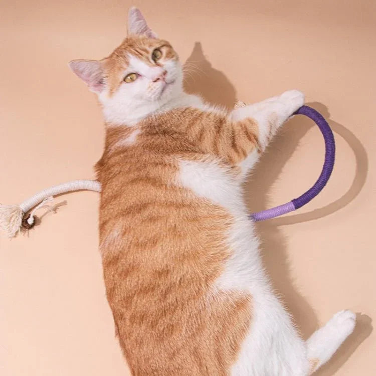 Cat Bite Rope Toy Catnip Cat Teasing Stick - Trustpick
