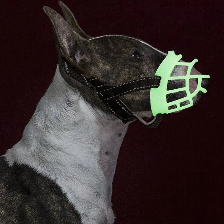 Fluorescent Dog Mouth Cover Pet Masks Anti - Bite And Bark Stopper Pet Supplies - Trustpick