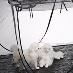 MQ - DZ55 Foldable Storage Outdoor Pet Tent Travel Cat And Dog Kennel - Trustpick