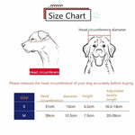 Pet Helmet Locomotive Lelmet Dog Cat Accessories - Trustpick
