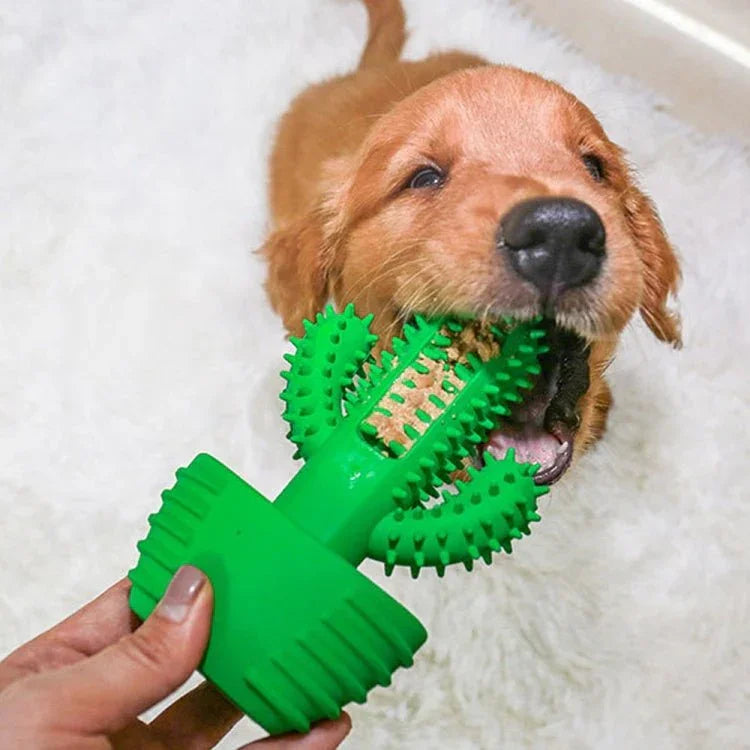 Pet Toothbrush Vocal Cleaning Teeth Molar Rod Dog Toy Supplies - Trustpick